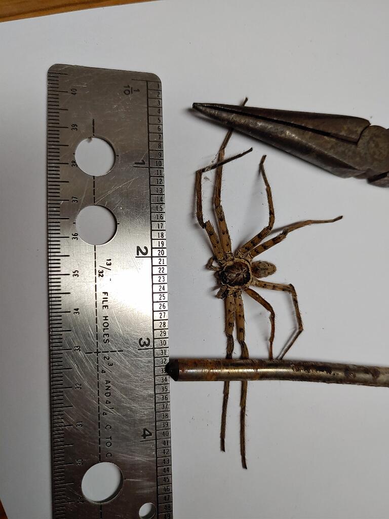 20200305_101022.jpg - , FC : (c, 1.00, d, 0.00, Detect, 0, appIcon, 0, after, 0, chg, 0, out, 0, Freq, 120, raw, 120, WB, 1, Clear, 25, ori, 120, 1.75, 120, 1.75, chg, 120, 1.75, 120, 1.75,,1.00)