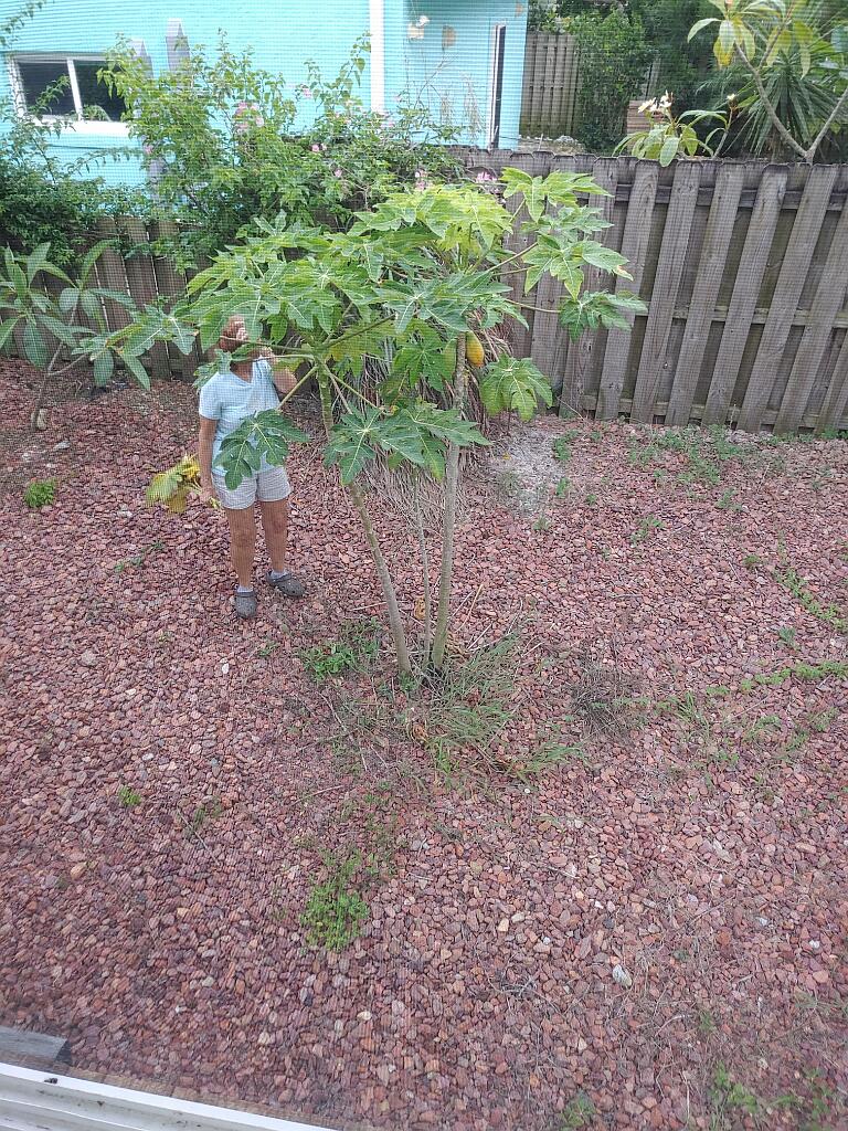 20200618_194309.jpg - , FC : (c, 0.99, d, 0.00, Detect, 0, appIcon, 0, after, 0, chg, 0, out, 0, Freq, 120, raw, 0, WB, 42, Clear, 21, ori, 60, 3.43, 60, 3.43, chg, 60, 3.43, 60, 3.43,,1.00)