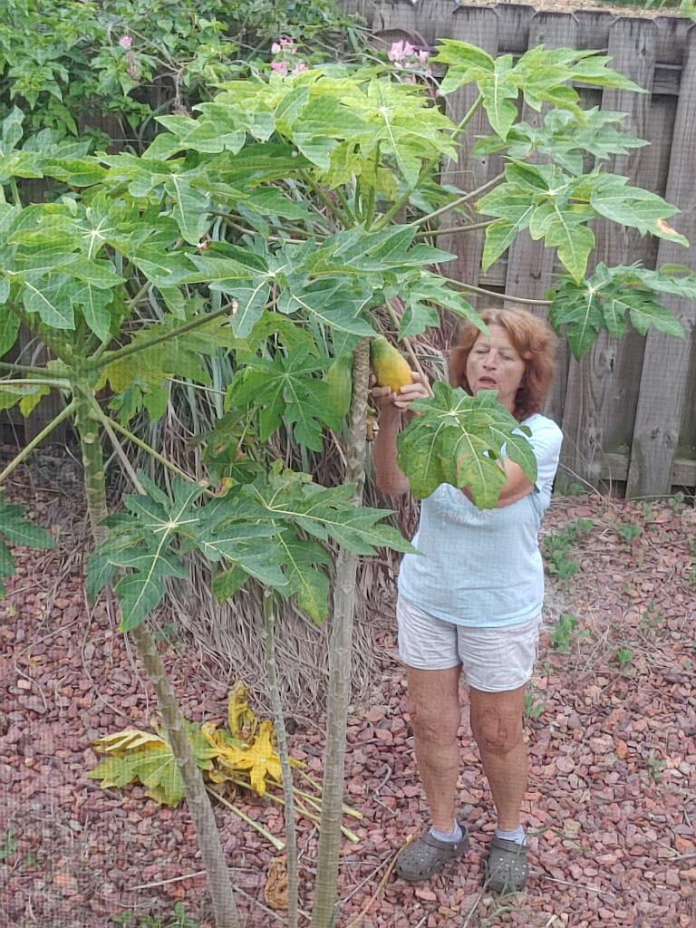 20200618_194324.jpg - , FC : (c, 0.94, d, 0.00, Detect, 0, appIcon, 0, after, 0, chg, 0, out, 0, Freq, 120, raw, 0, WB, 54, Clear, 30, ori, 60, 3.19, 60, 3.19, chg, 60, 3.19, 60, 3.19,,1.00)