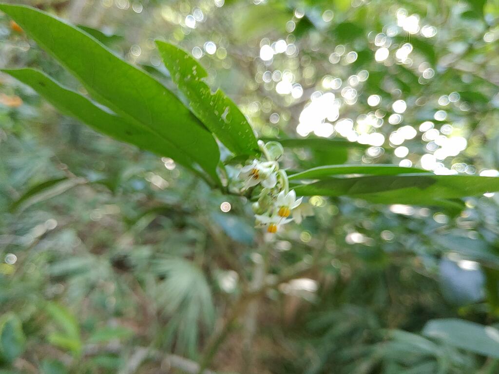 20200724_181740_HDR.jpg - Solution Info HDR : EV(0,-8,0,0,0,0,0,0,0,0), FC : (0), FC : (c, 1.00, d, 0.00, Detect, 0, appIcon, 0, after, 0, chg, 0, out, 0, Freq, 120, raw, 0, WB, 151, Clear, 23, ori, 30, 3.72, 30, 3.72, chg, 30, 3.72, 30, 3.72,,1.00)