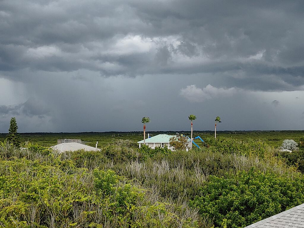 20200728_145130.jpg - , FC : (c, 0.97, d, 0.00, Detect, 0, appIcon, 0, after, 0, chg, 0, out, 1, Freq, 120, raw, 0, WB, 210, Clear, 158, ori, 328, 1.00, 328, 1.00, chg, 328, 1.00, 328, 1.00,,1.00)