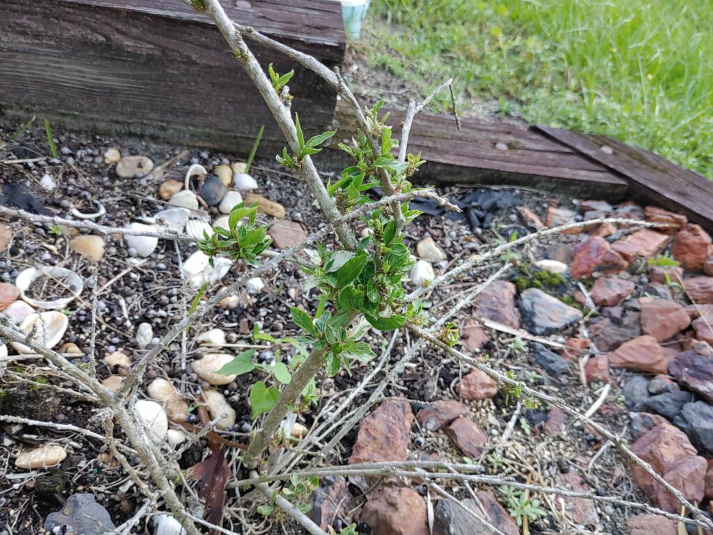 20200729_180247.jpg - , FC : (c, 1.00, d, 0.00, Detect, 0, appIcon, 0, after, 0, chg, 0, out, 0, Freq, 120, raw, 0, WB, 104, Clear, 48, ori, 60, 1.25, 60, 1.25, chg, 60, 1.25, 60, 1.25,,1.00)