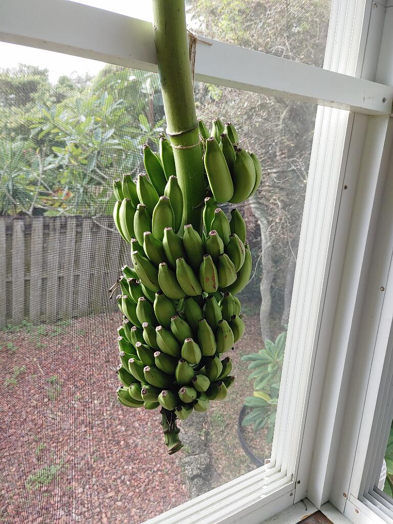 20201010_091437.jpg - , FC : (c, 1.00, d, 0.00, Detect, 0, appIcon, 0, after, 0, chg, 0, out, 0, Freq, 120, raw, 0, WB, 566, Clear, 378, ori, 120, 1.22, 120, 1.22, chg, 120, 1.22, 120, 1.22,,1.00)