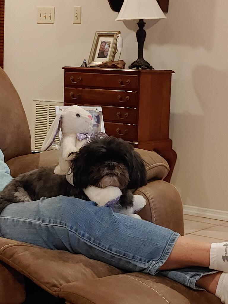 20201116_200508.jpg - , FC : (c, 0.99, d, 0.00, Detect, 0, appIcon, 0, after, 0, chg, 0, out, 0, Freq, 120, raw, 120, WB, 1, Clear, 1, ori, 12, 12.19, 12, 12.19, chg, 12, 12.19, 12, 12.19,,1.00)