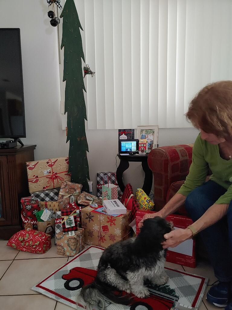 20201224_141553.jpg - , FC : (c, 0.99, d, 0.00, Detect, 0, appIcon, 0, after, 0, chg, 0, out, 1, Freq, 120, raw, 0, WB, 7, Clear, 6, ori, 24, 4.19, 24, 4.19, chg, 24, 4.19, 24, 4.19,,1.00)