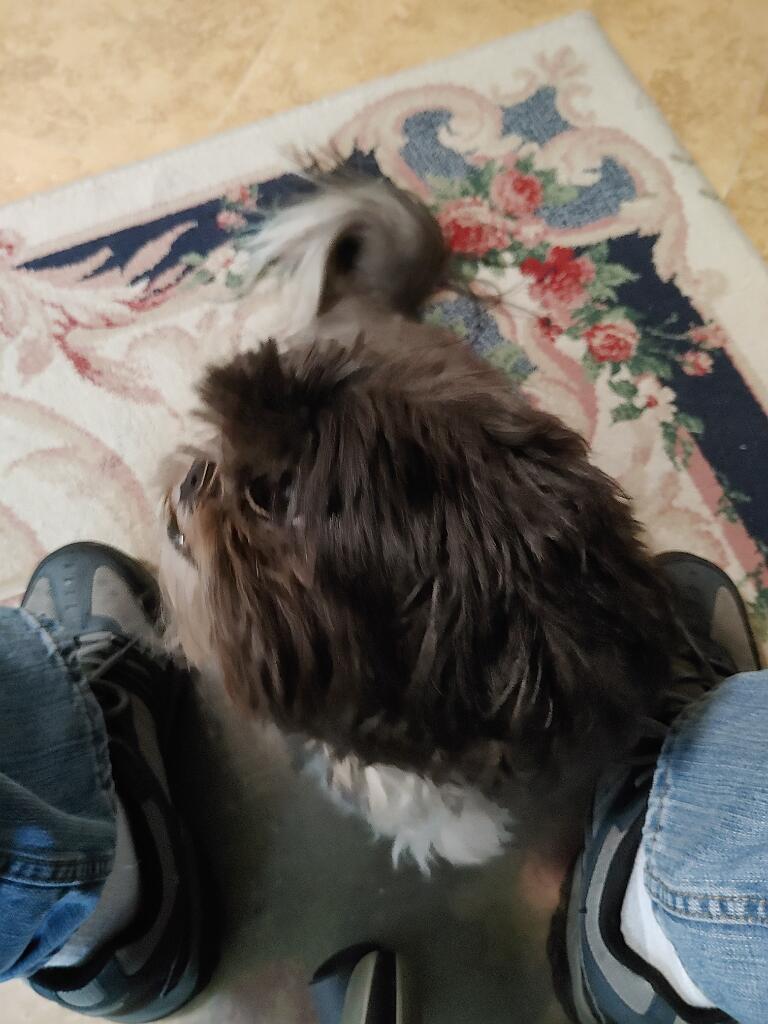 20210130_104546.jpg - , FC : (c, 0.76, d, 0.00, Detect, 1, appIcon, 0, after, 0, chg, 1, out, 1, Freq, 120, raw, 0, WB, 1, Clear, 1, ori, 15, 9.06, 15, 9.06, chg, 30, 18.13, 30, 18.13,,0.50)