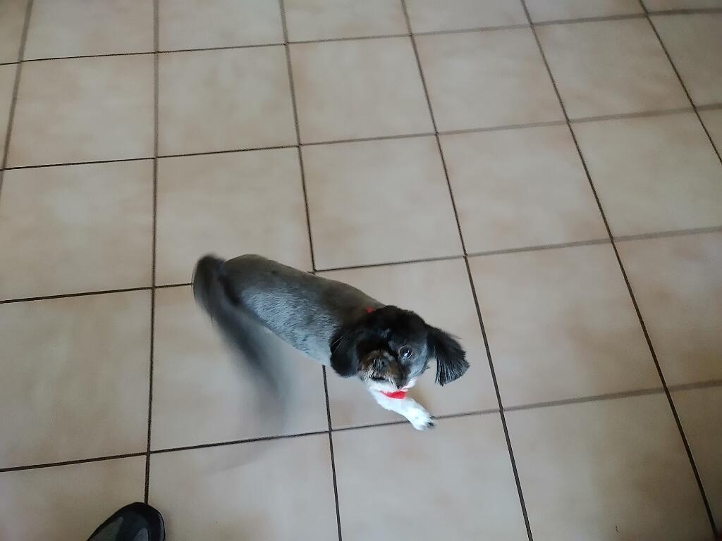 20210130_134314.jpg - , FC : (c, 0.92, d, 0.00, Detect, 1, appIcon, 0, after, 0, chg, 1, out, 1, Freq, 120, raw, 0, WB, 9, Clear, 5, ori, 40, 4.62, 40, 4.62, chg, 80, 9.24, 80, 9.24,,0.50)