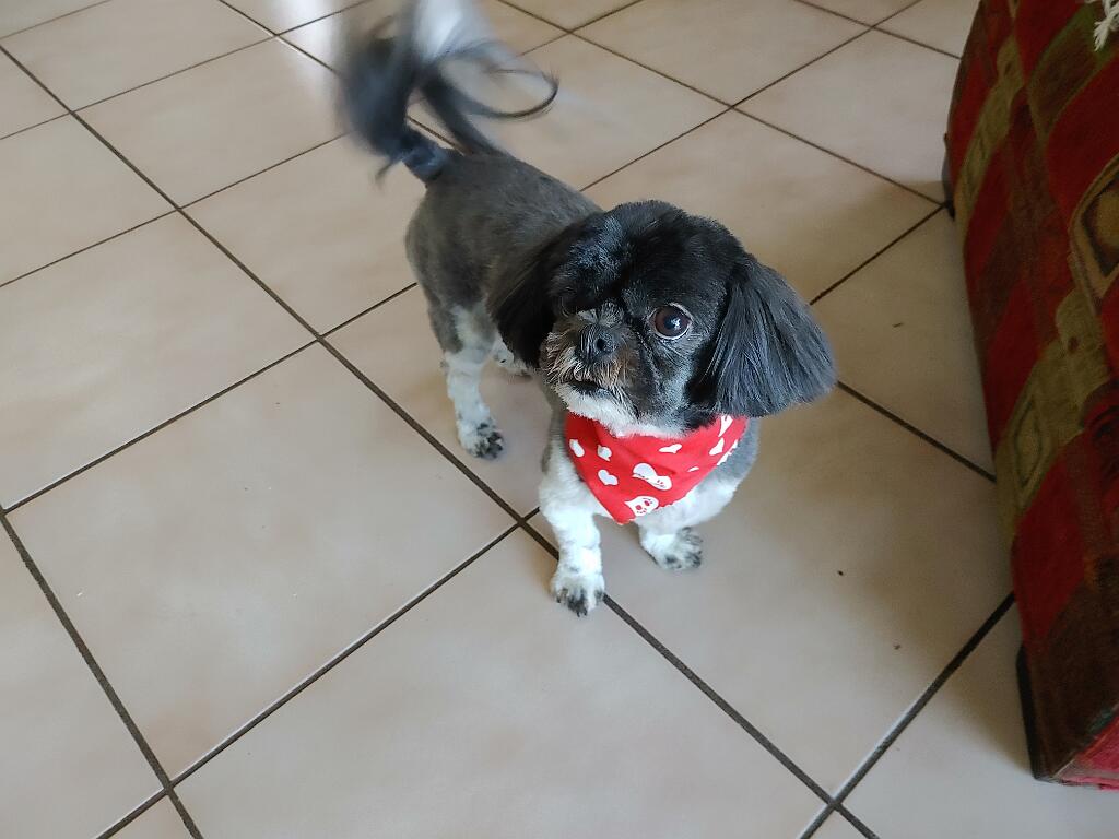 20210130_134317.jpg - , FC : (c, 0.82, d, 0.00, Detect, 1, appIcon, 0, after, 0, chg, 1, out, 1, Freq, 120, raw, 0, WB, 9, Clear, 5, ori, 30, 4.46, 30, 4.46, chg, 60, 8.91, 60, 8.91,,0.50)