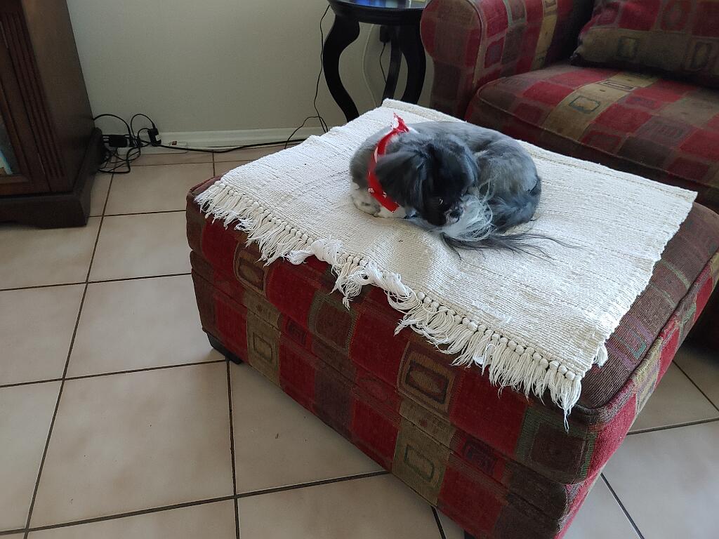 20210130_134322.jpg - , FC : (c, 0.92, d, 0.00, Detect, 1, appIcon, 0, after, 0, chg, 1, out, 1, Freq, 120, raw, 0, WB, 19, Clear, 15, ori, 24, 3.76, 24, 3.76, chg, 60, 9.41, 60, 9.41,,0.40)