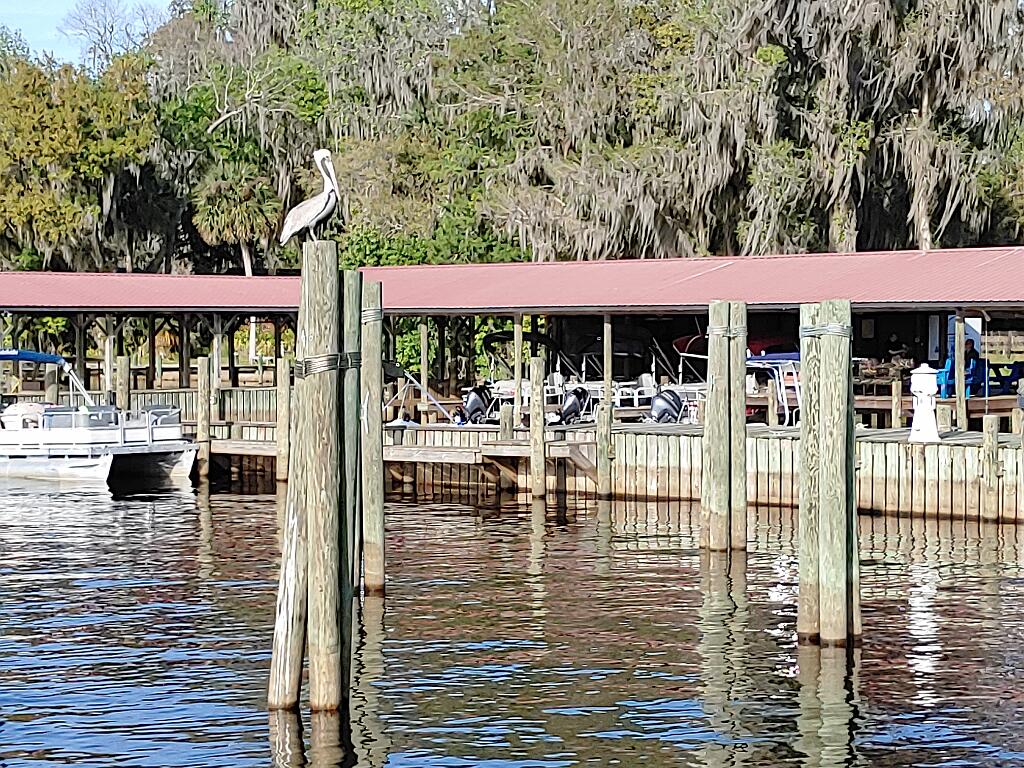 20210312_163429.jpg - , FC : (c, 0.99, d, 0.00, Detect, 0, appIcon, 0, after, 0, chg, 0, out, 1, Freq, 120, raw, 0, WB, 951, Clear, 755, ori, 1163, 1.00, 1163, 1.00, chg, 1163, 1.00, 1163, 1.00,,1.00)