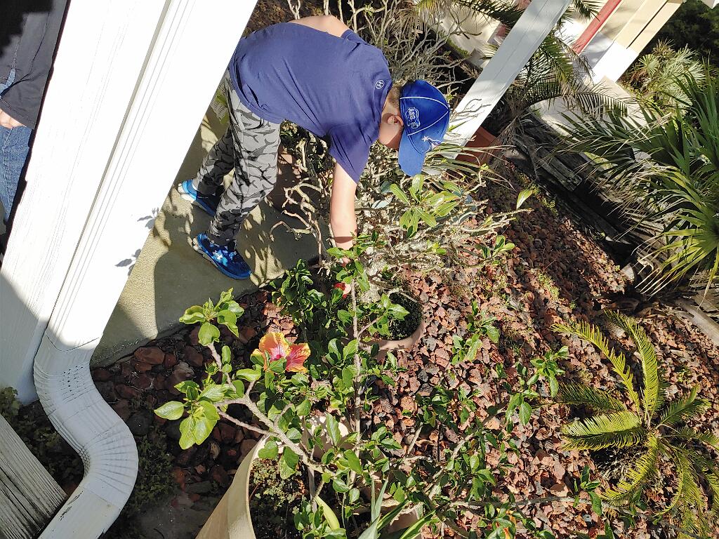 20210404_085615.jpg - Solution Info HDR : EV(0,5,-7), FC : (0), FC : (c, 0.90, d, 0.00, Detect, 1, appIcon, 0, after, 0, chg, 0, out, 1, Freq, 120, raw, 0, WB, 2317, Clear, 985, ori, 1723, 1.01, 870, 1.00, chg, 3447, 2.02, 1738, 2.00,,0.50)