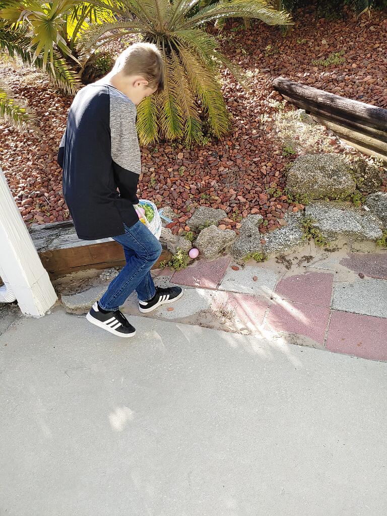 20210404_085818.jpg - , FC : (c, 0.60, d, 0.00, Detect, 1, appIcon, 0, after, 0, chg, 1, out, 1, Freq, 120, raw, 0, WB, 1265, Clear, 762, ori, 360, 1.00, 360, 1.00, chg, 718, 2.00, 718, 2.00,,0.50)