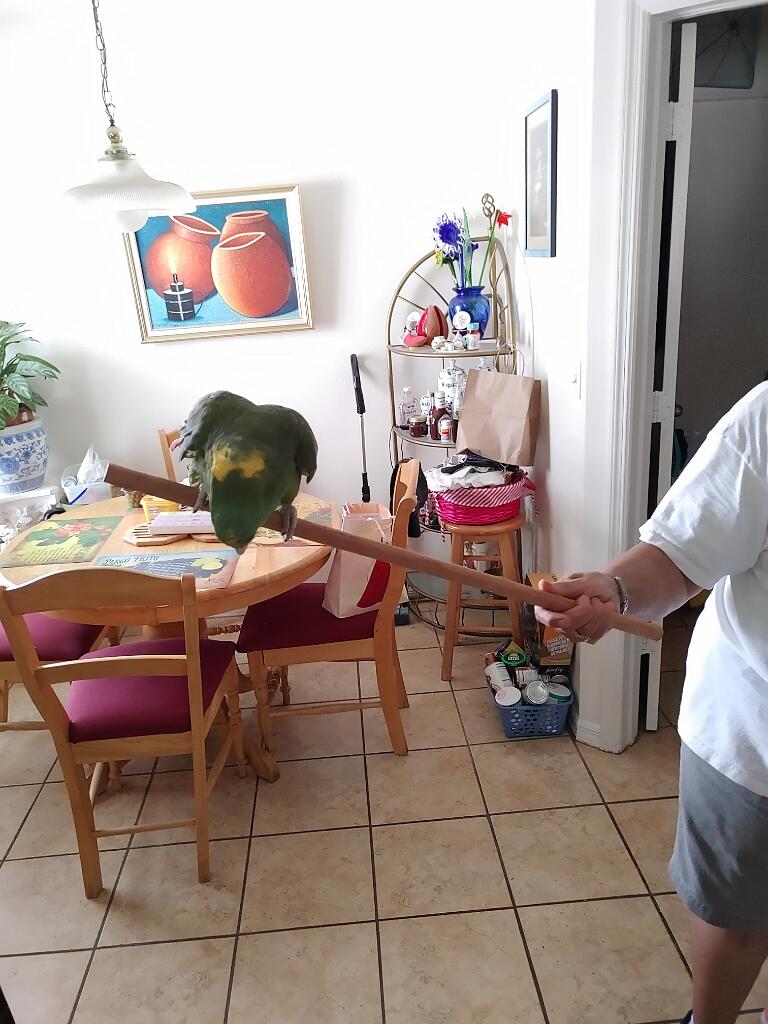 20210418_110234.jpg - , FC : (c, 0.84, d, 0.00, Detect, 1, appIcon, 0, after, 0, chg, 1, out, 0, Freq, 120, raw, 0, WB, 20, Clear, 8, ori, 30, 3.92, 30, 3.93, chg, 60, 7.84, 60, 7.86,,0.50)