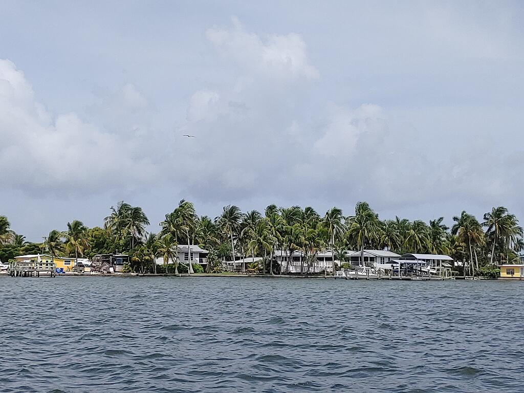 20210619_111151.jpg - , FC : (c, 0.98, d, 0.00, Detect, 0, appIcon, 0, after, 0, chg, 0, out, 1, Freq, 120, raw, 0, WB, 2916, Clear, 2700, ori, 3570, 1.03, 3570, 1.03, chg, 3570, 1.03, 3570, 1.03,,1.00)