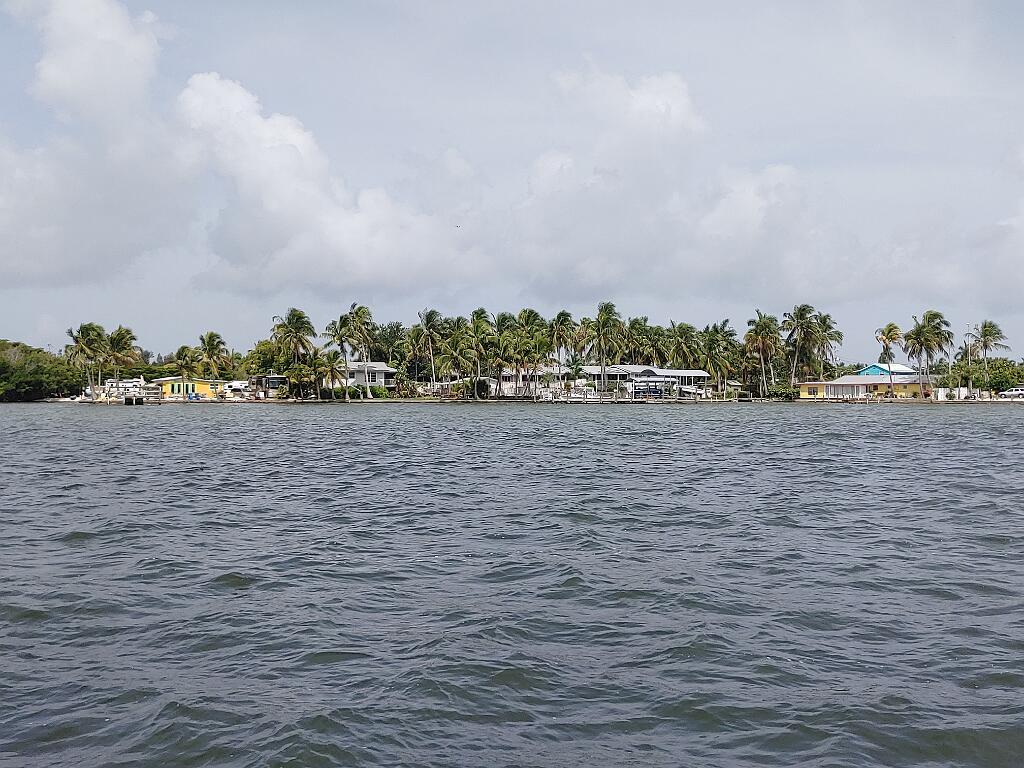 20210619_111158.jpg - , FC : (c, 0.98, d, 0.00, Detect, 0, appIcon, 0, after, 0, chg, 0, out, 1, Freq, 120, raw, 0, WB, 2661, Clear, 2456, ori, 2940, 1.02, 2940, 1.02, chg, 2940, 1.02, 2940, 1.02,,1.00)