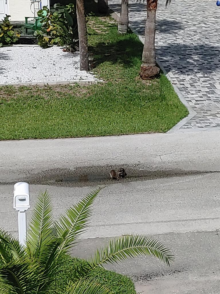 20210711_161743.jpg - , FC : (c, 1.00, d, 0.00, Detect, 0, appIcon, 0, after, 0, chg, 0, out, 1, Freq, 120, raw, 0, WB, 3439, Clear, 1989, ori, 4544, 1.02, 4544, 1.02, chg, 4544, 1.02, 4544, 1.02,,1.00)