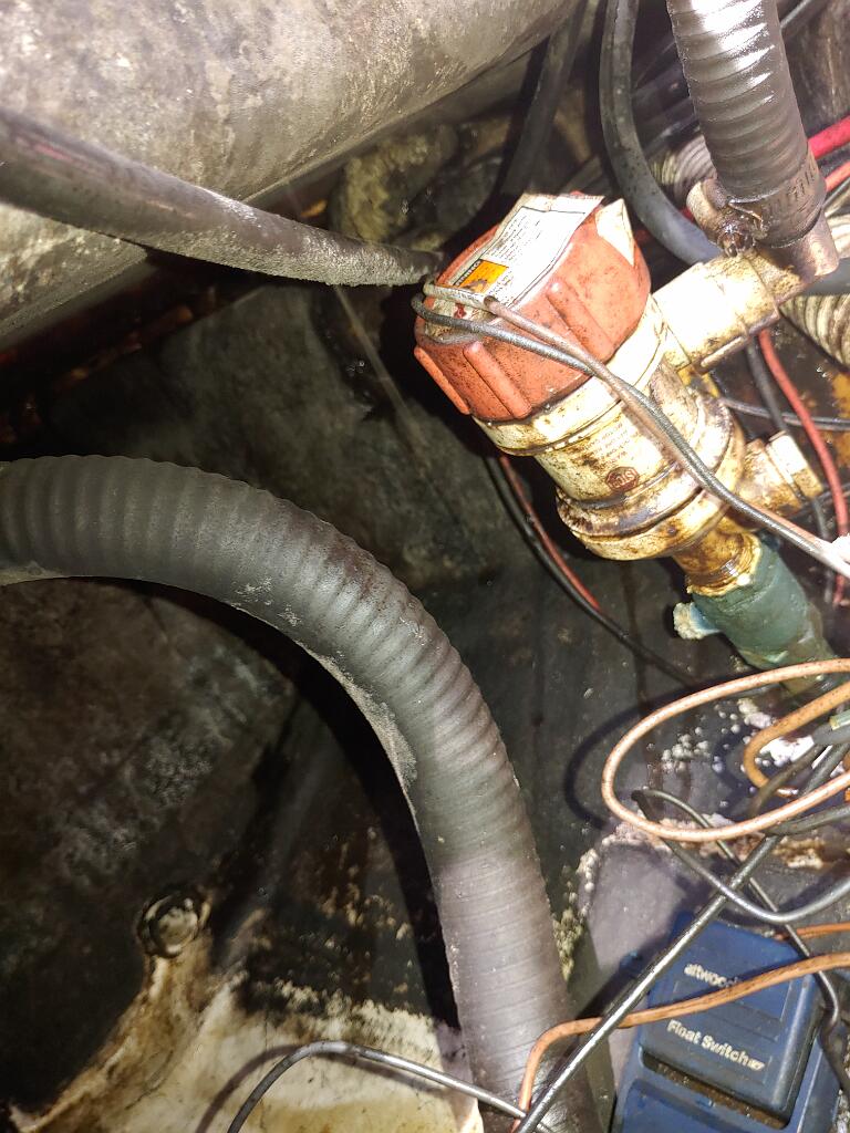 20210920_114317.jpg - Solution Info HDR : EV(0,-19,0,0,0,0,0,0,0,0), FC : (0)