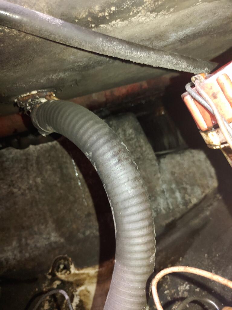 20210920_114326.jpg - Solution Info HDR : EV(0,-19,0,0,0,0,0,0,0,0), FC : (0)