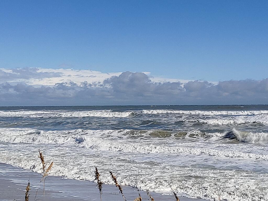 20211106_104030.jpg - , FC : (c, 1.00, d, 0.00, Detect, 0, appIcon, 0, after, 0, chg, 0, out, 1, Freq, 120, raw, 0, WB, 3033, Clear, 2299, ori, 5262, 1.04, 5262, 1.04, chg, 5262, 1.04, 5262, 1.04,,1.00)